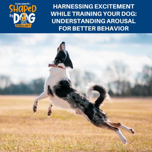 Harnessing Excitement While Training Your Dog: Understanding Arousal For Better Behavior #284