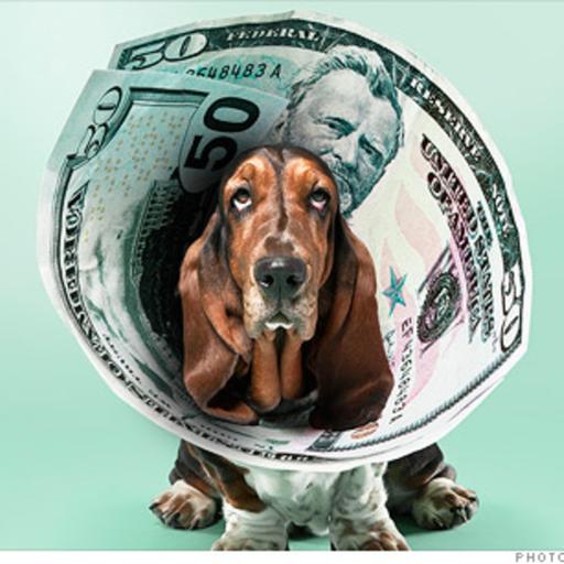 Who is to blame for the skyrocketing costs of veterinary care?