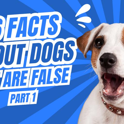 26 Facts About Dogs You Should Know: Part 1