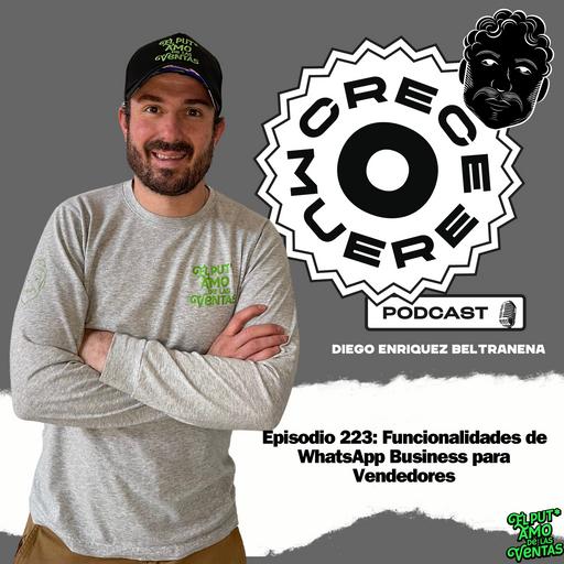 Episodio #223: Funcionalidades de WhatsApp Business para Vendedores