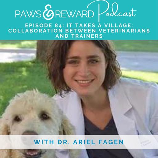 Ep 84: It Takes a Village: Collaboration Between Veterinarians & Trainers with Dr. Ariel Fagen
