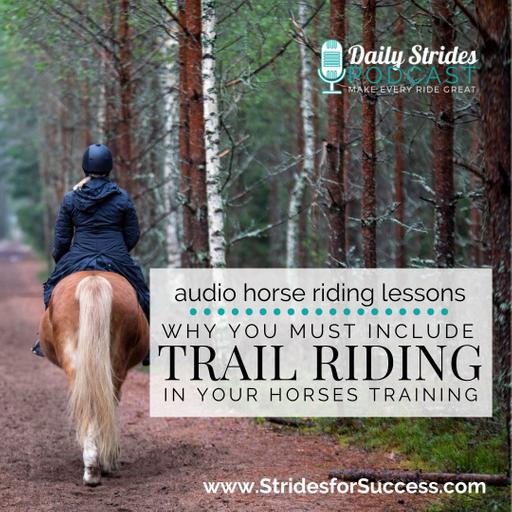 Why You MUST Include Trail Riding in Your Horse's Training