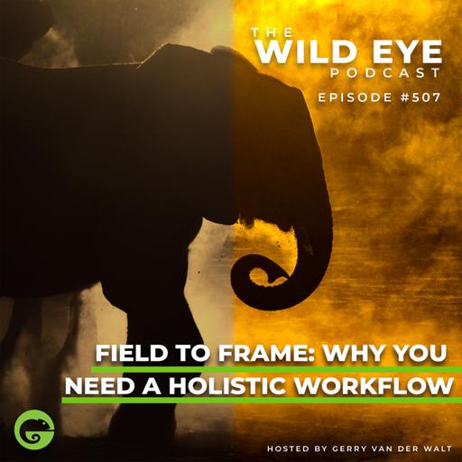 #507 - Field to Frame: Why you need a holistic workflow