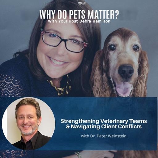 Strengthening Veterinary Teams & Navigating Client Conflicts with Dr. Peter Weinstein