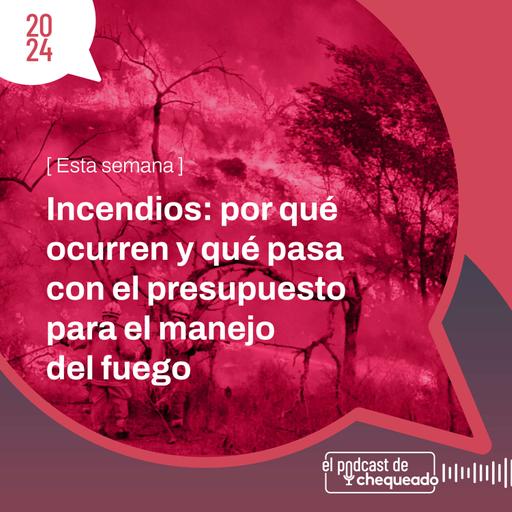 Incendios: por qué ocurren y qué pasa con el presupuesto para el manejo del fuego
