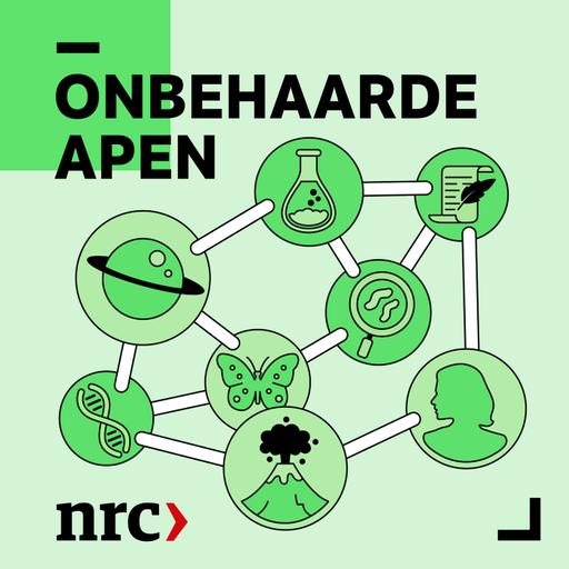 Onbehaarde Apen LIVE: wat heb je aan intelligentie?