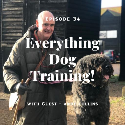 Episode 34 - with guest Andy Collins