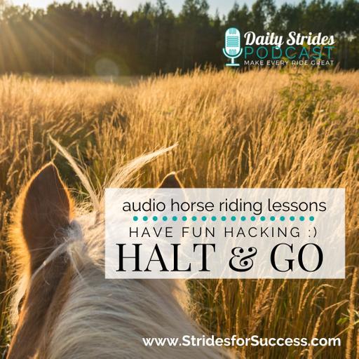 Have Fun Hacking; Halt & Go...