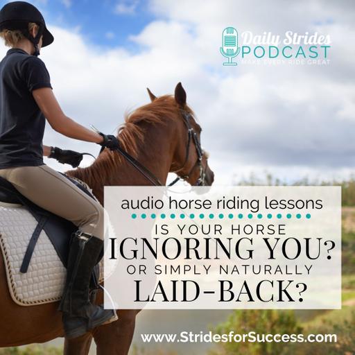 Is your Horse Ignoring You? Or Naturally Laid-Back? Find Out...