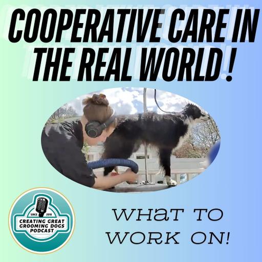 Cooperative Care In The Real World Ep202