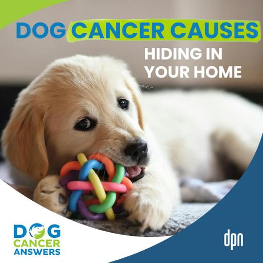 Dog Cancer Causes Hiding In Your Home | Lauren Trepanier, DVM, Ph.D., DACVCP, DACVIM (SAIM) #257