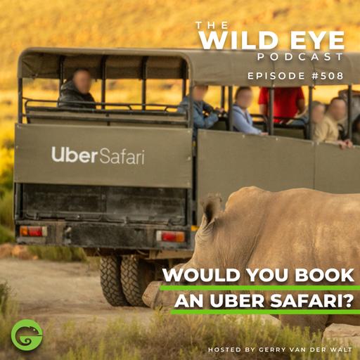 #508 - Would you book an Uber safari?