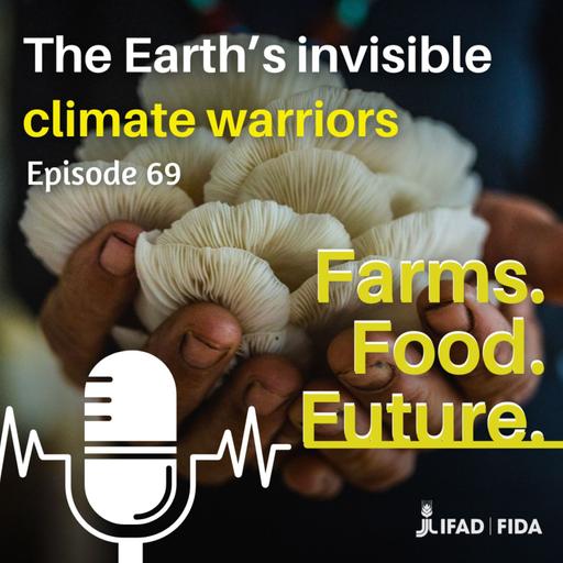 The Earth’s invisible climate warriors