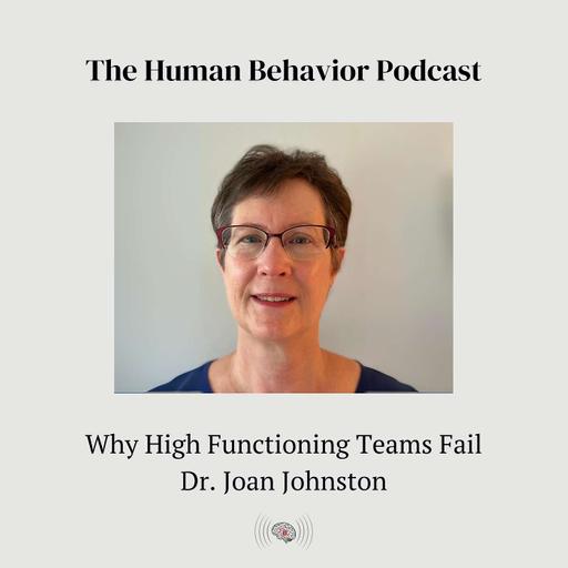 Why High Functioning Teams Fail