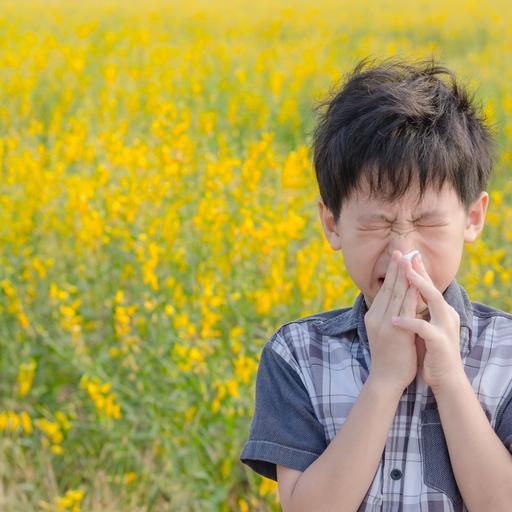 Achoo! How fast does a sneeze travel?