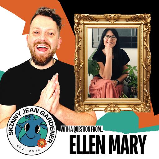 Educating Parents ft. Ellen Mary