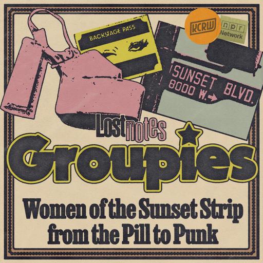 Coming soon... Groupies: Women of the Sunset Strip from the Pill to Punk