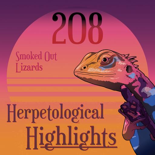 208 Smoked Out Lizards