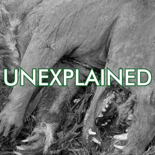 Season 08 Episode 5: Islands of Fear (Pt.2 of 2)