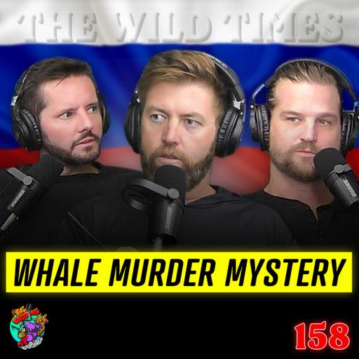 Russian Spy Whale Hvaldimir Found Dead...What Happened? - TWT 158