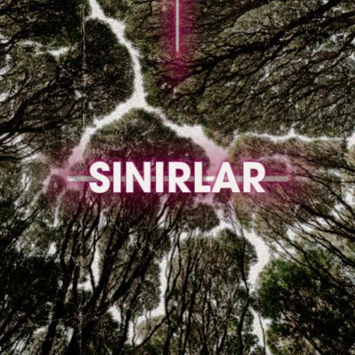Sınırlar
