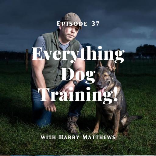 Episode 37 - with guest Harry Matthews