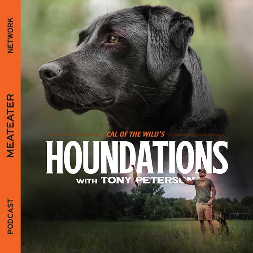 Ep. 318: Houndations - Dog Injuries and First Aid Issues in the Field