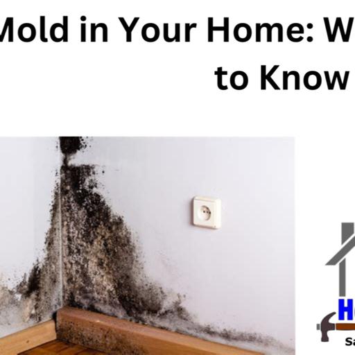 Mold in Your Home: What You Need To Know