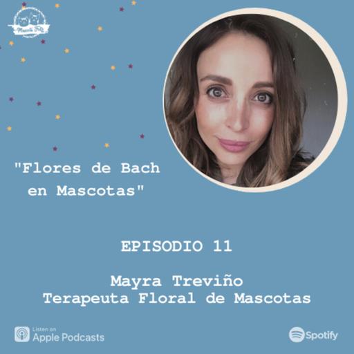 E11. Flores de Bach en Mascotas | Mayra Treviño Terapeuta Floral de Mascotas