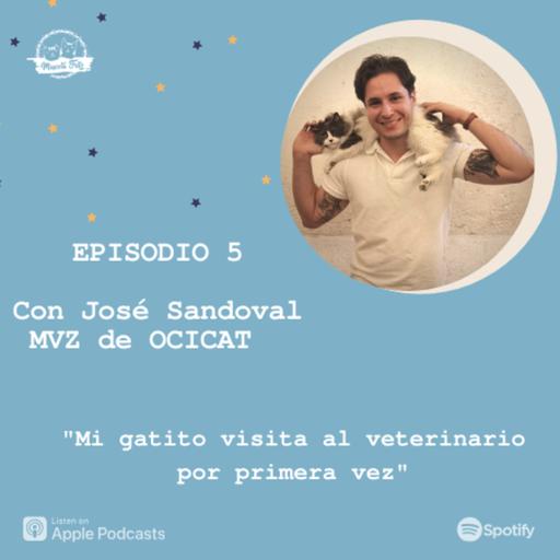 E5. Mi gatito visita al veterinario por primera vez | Dr. José Sandoval de OCICAT Clínica Felina