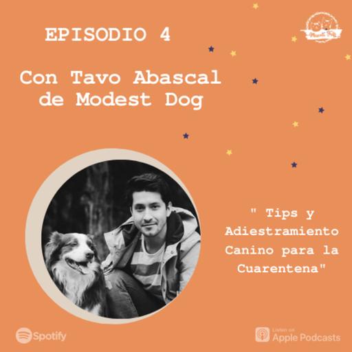 E4. Tips y Adiestramiento Canino para la Cuarentena | Tavo Abascal de Modest Dog