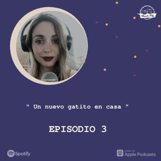E3. Un nuevo gatito en casa