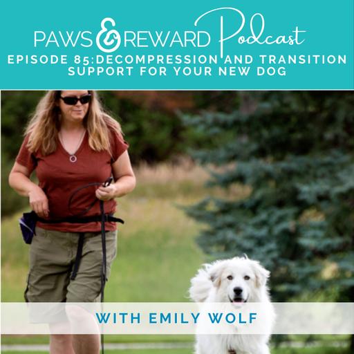 Ep 85: Decompression and Transition Support for your New Dog with Emily Wolf