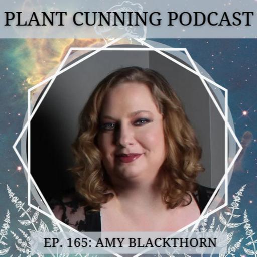 Ep. 165: Amy Blackthorn on Sacred Plant Magic and Living an Aromatic Life