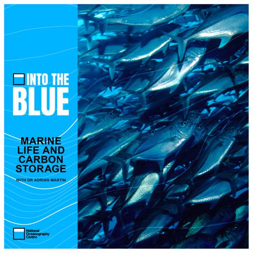 The Hidden Influence Marine Life Has on Our Climate | Into the Blue Podcast