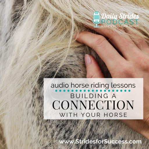 Building a Connection with Your Horse