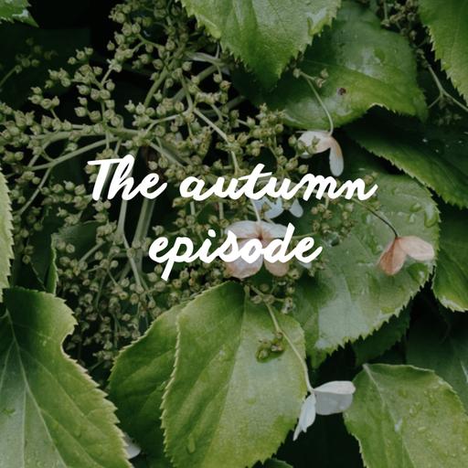 The autumn episode