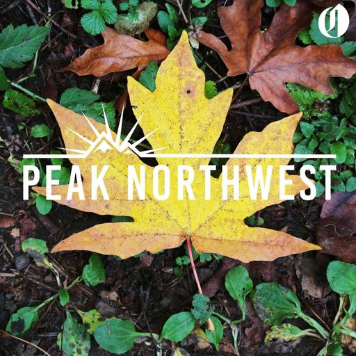 6 perfect fall hiking spots close to Portland