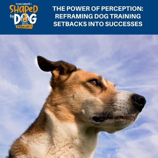 The Power Of Perception: Reframing Dog Training Setbacks Into Successes #287