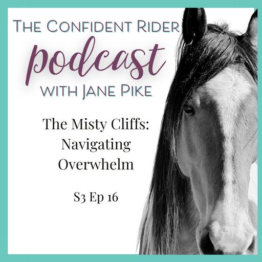 The Misty Cliffs: Navigating Overwhelm