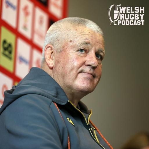 Wales autumn squad announcement reaction