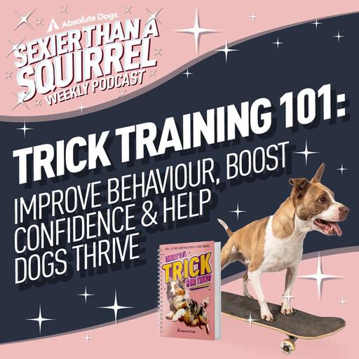 Trick Training 101: Improve Behaviour, Boost Confidence & Help Dogs Thrive