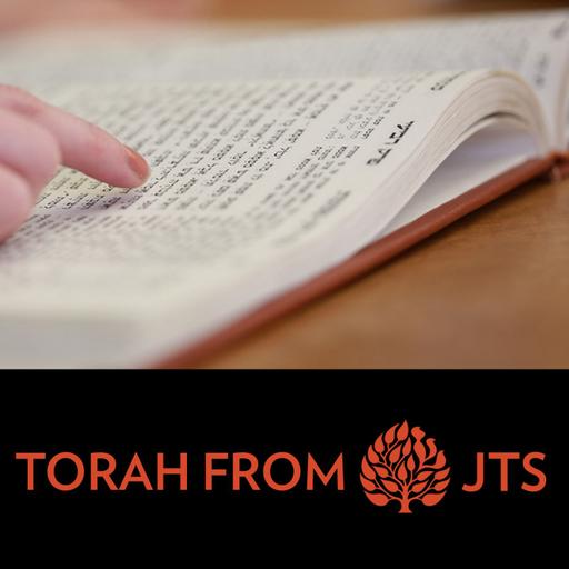 God’s Partners in Torah: Bereishit 5785