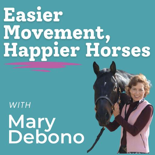 Feeling Stuck? Transform Your Horse Time Today