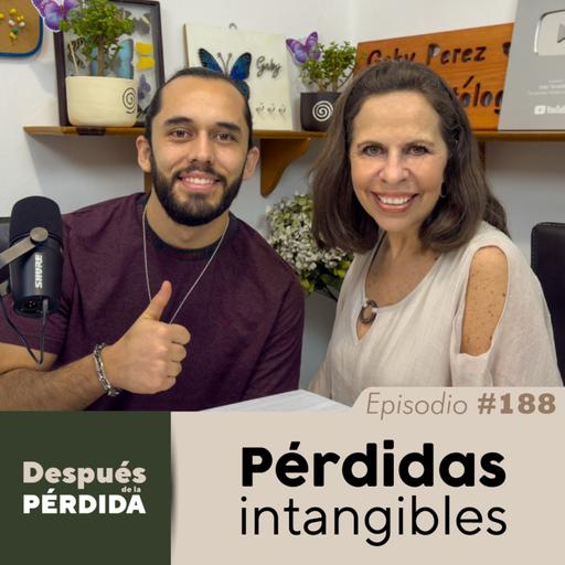 188) Pérdidas intangibles