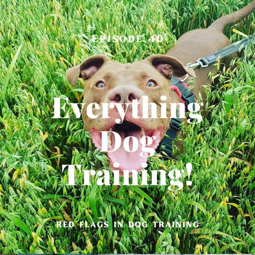 Episode 40 - Red Flags in Dog Training