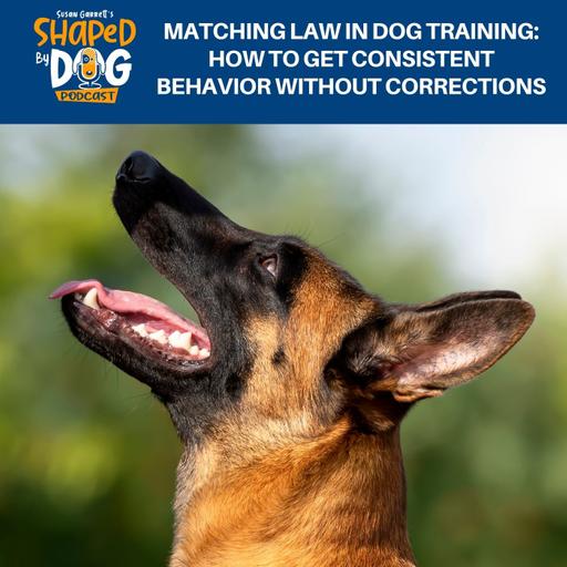 Matching Law In Dog Training: How To Get Consistent Behavior Without Corrections #288