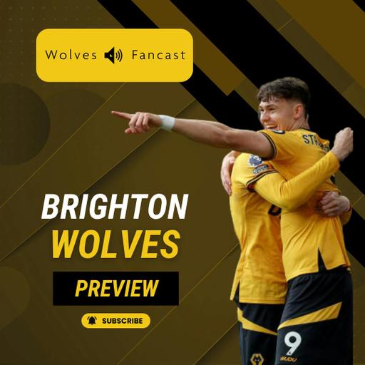 Brighton vs Wolves Preview