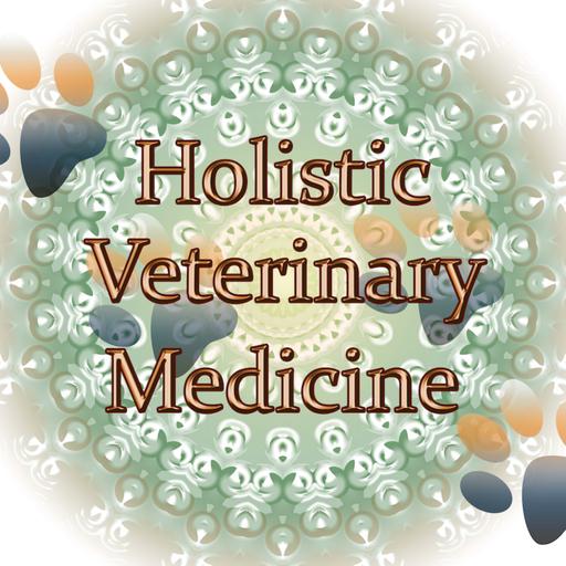 What is holistic veterinary medicine?