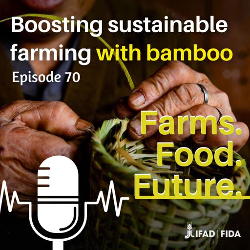 Boosting sustainable farming with bamboo